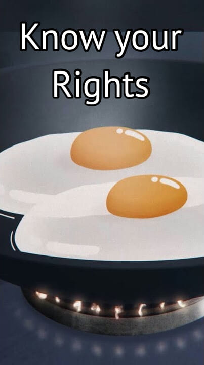 A poster image for the 'Know Your Rights' video on YouTube that explains what your rights are with regard to ICE