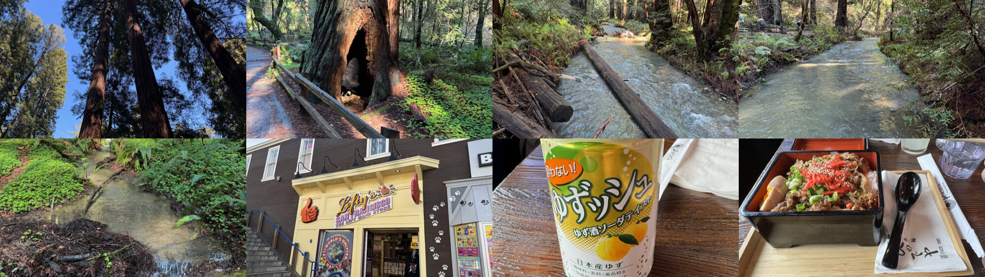 Featured image for Hello (and Goodbye) San Fransisco!